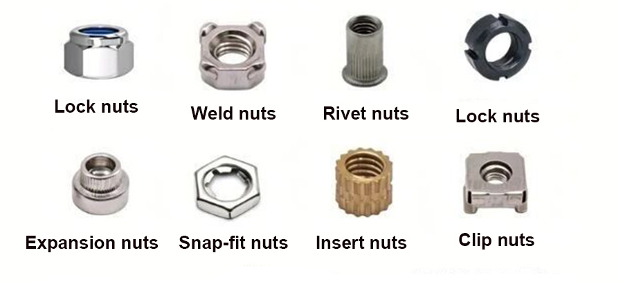 nuts