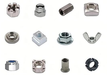Essential Guide to 20 Standard Nut Fasteners